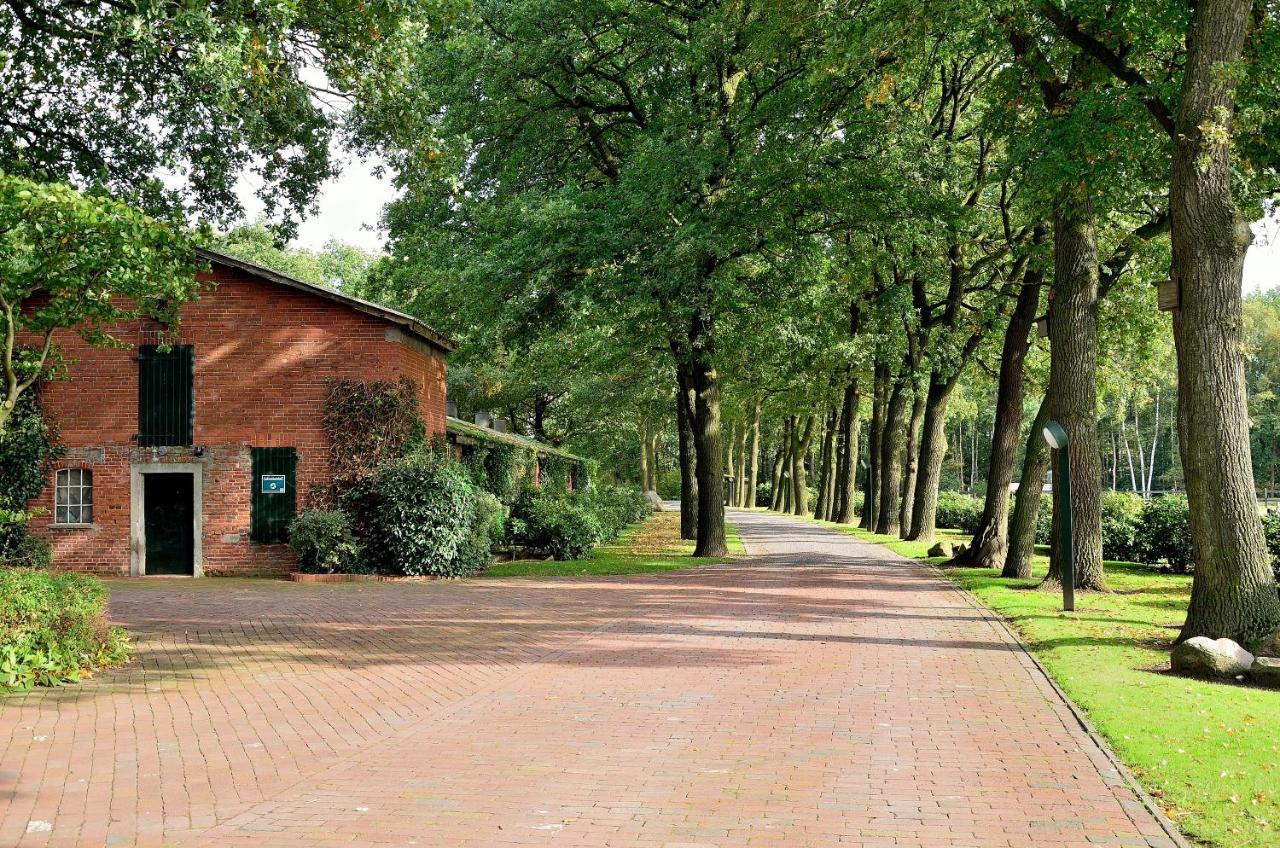 Grosse Ferienwohnung, Auf Bauernhof Mit Ponys Und Pferden, Laendlich Und Ruhig, Naehe Duemmer See Holdorf Eksteriør billede